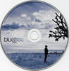 God Of This City by Bluetree - Additional CD Image