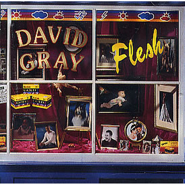 Flesh by David Gray - CD Album Cover