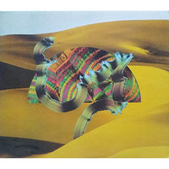Django Django by Django Django (CD)