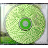 Disc face