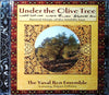 Under the Olive Tree by The Yuval Ron Ensemble - CD Album Cover