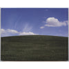 Here Come The ABCs by They Might Be Giants - CD Back Cover