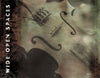Wide Open Spaces by Dixie Chicks - Additional CD Image