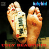 Ugly Beautiful by Babybird - CD Album Cover