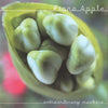 Extraordinary Machine by Fiona Apple (CD)