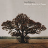 We Were Born In A Flame by Sam Roberts - CD Album Cover