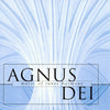 Agnus Dei (Music Of Inner Harmony) by The New College Oxford Choir, Edward Higginbottom (CD)