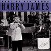Best Of Big Bands by Harry James (2) - CD Album Cover