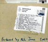Down In Albion by Babyshambles - CD Back Cover