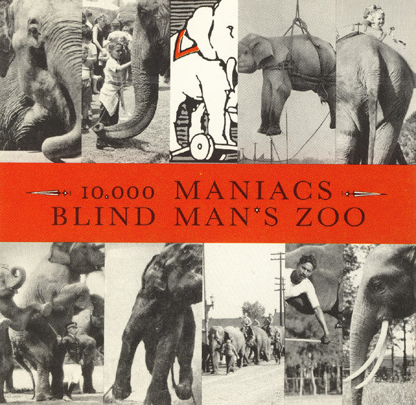 Blind Man's Zoo by 10,000 Maniacs (CD)