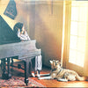 Music - Additional Image