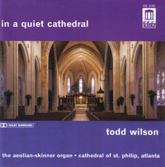 In A Quiet Cathedral by Todd Wilson (2) (CD)