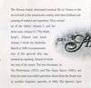 Great Strauss Waltzes by Various - CD Back Cover