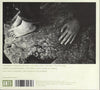 Strict Joy by The Swell Season - CD Back Cover