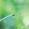Rejuvenating Rain: A Solo Piano Portrait by John Herberman, Dan Gibson - CD Album Cover