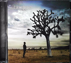 Bluetree - God Of This City (CD) | Christian Rock Near Mint