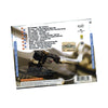 The Fatboy Slim / Norman Cook Collection by Fatboy Slim, Norman Cook - CD Back Cover