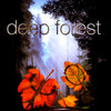 Boheme by Deep Forest - CD Album Cover