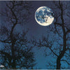 Static & Silence by The Sundays - CD Back Cover