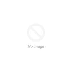 Tiny Light by Lizzy Rain (CD)